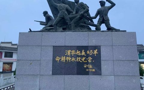 渭华起义，渭华革命？