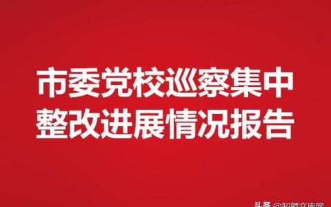 巡察整改情况报告，巡察整改报告？