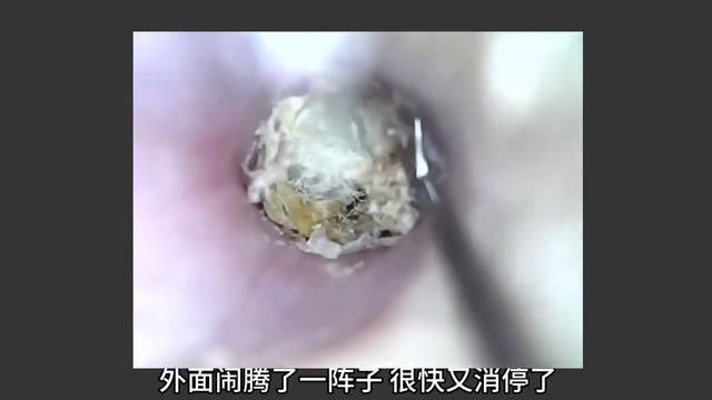 每夜一个骇故事，恐怖故事集？
