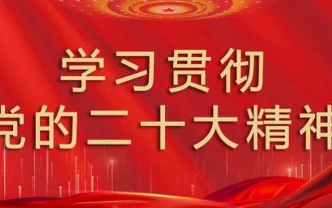 学习党章体会，党章学习心得体会？