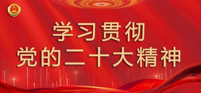 学习党章体会，党章学习心得体会？