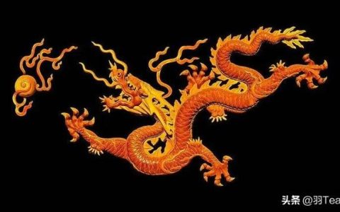 龙开头的成语，龙腾虎跃？