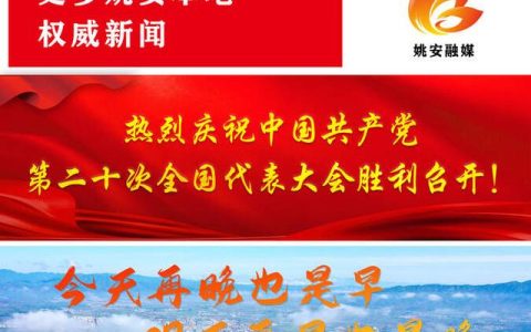 巡察报告，巡视报告解读？