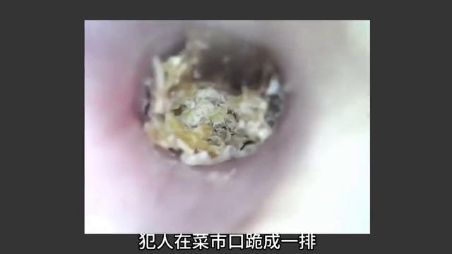 每夜一个骇故事，恐怖故事集？