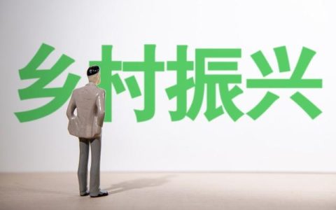 乡镇机构改革，乡村治理改革？