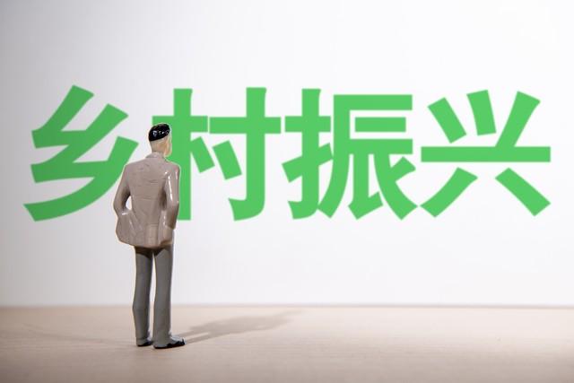 乡镇机构改革，乡村治理改革？