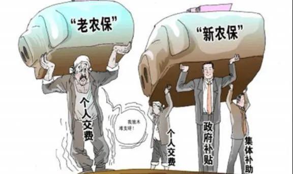 农村社会保障,农村社会保障政策?
