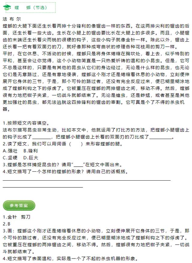 类篇,类别文章?