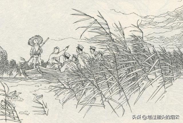 芦荡小英雄，芦荡小英雄？