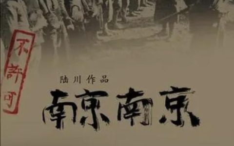 南京南京电影简介，南京南京电影剧情介绍？
